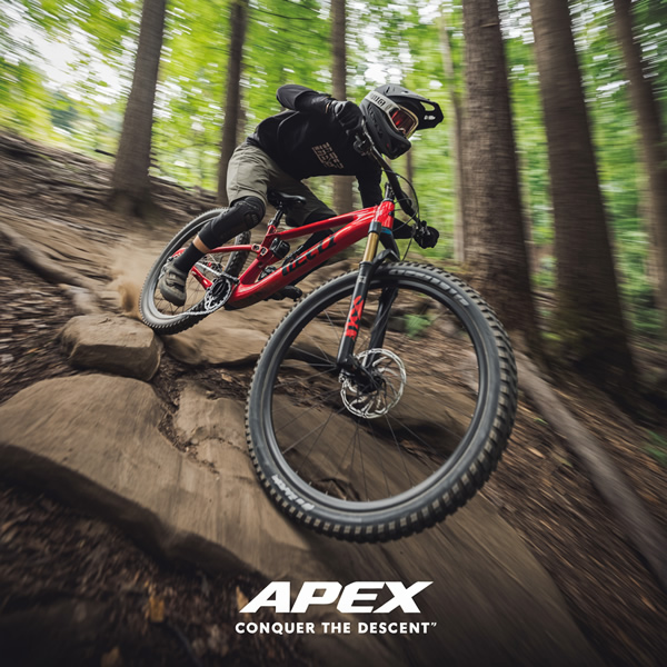 Down hill bike poster